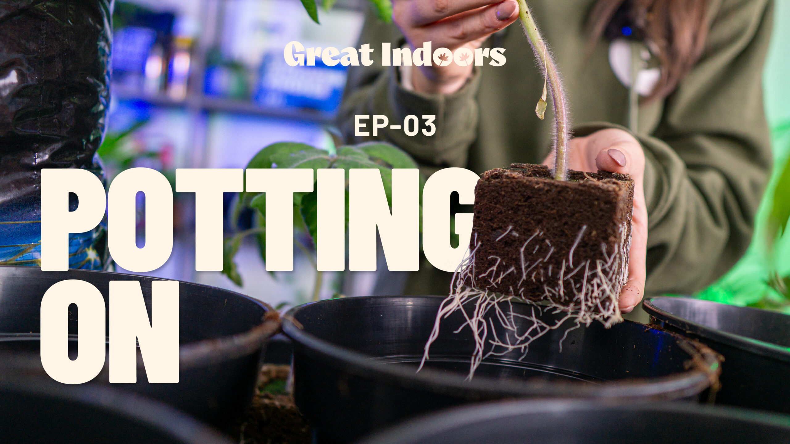 Potting On