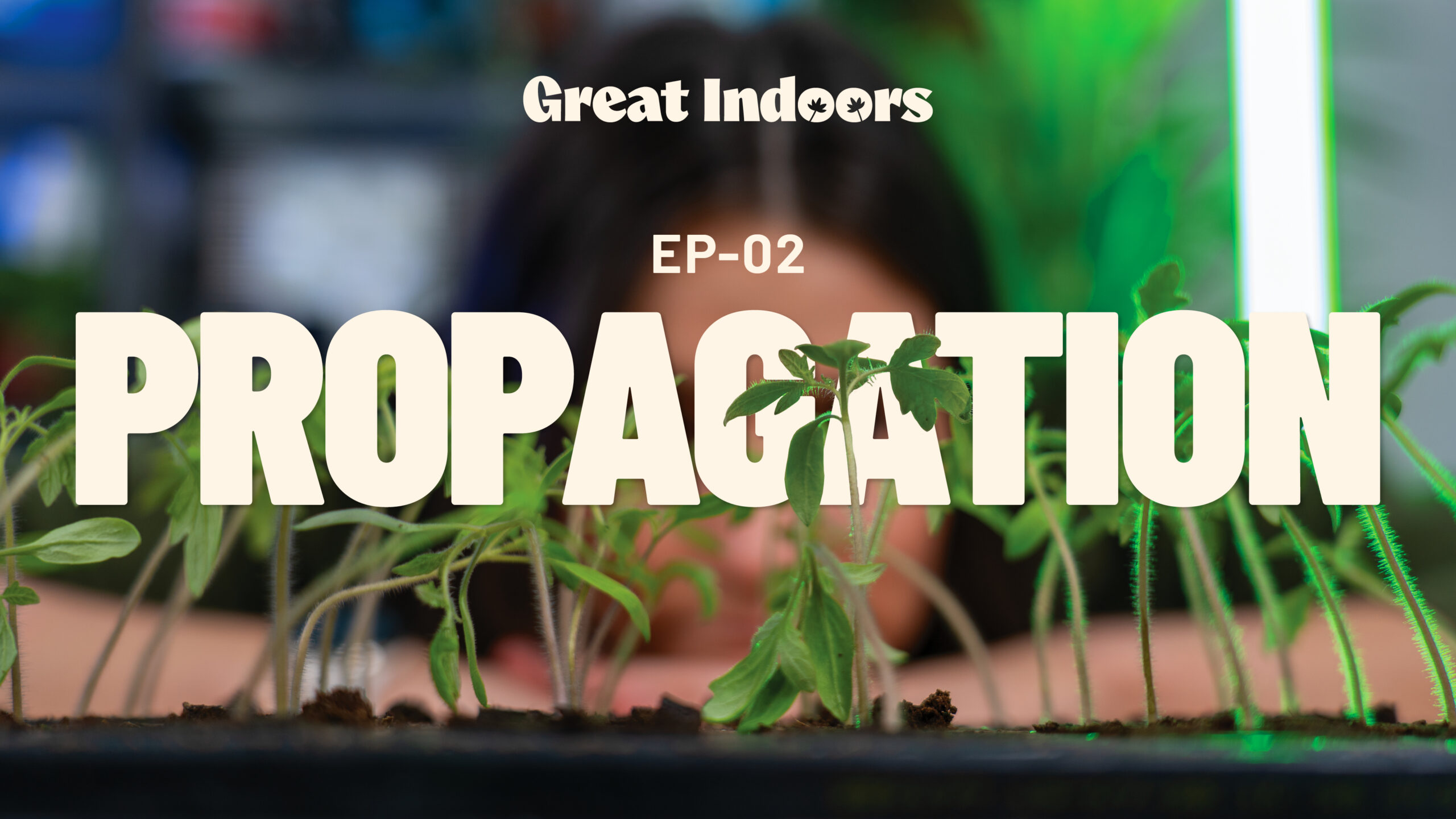 Propagation