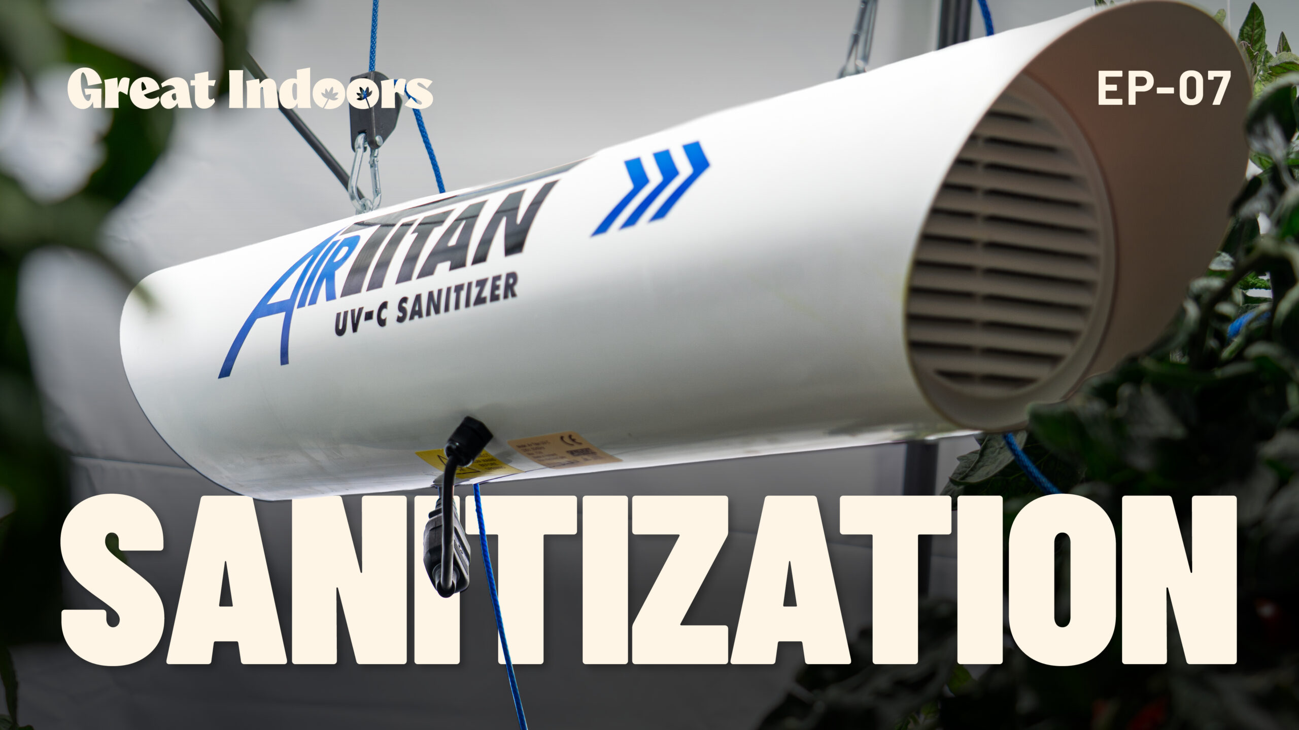 The Great Indoors - Sanitisation