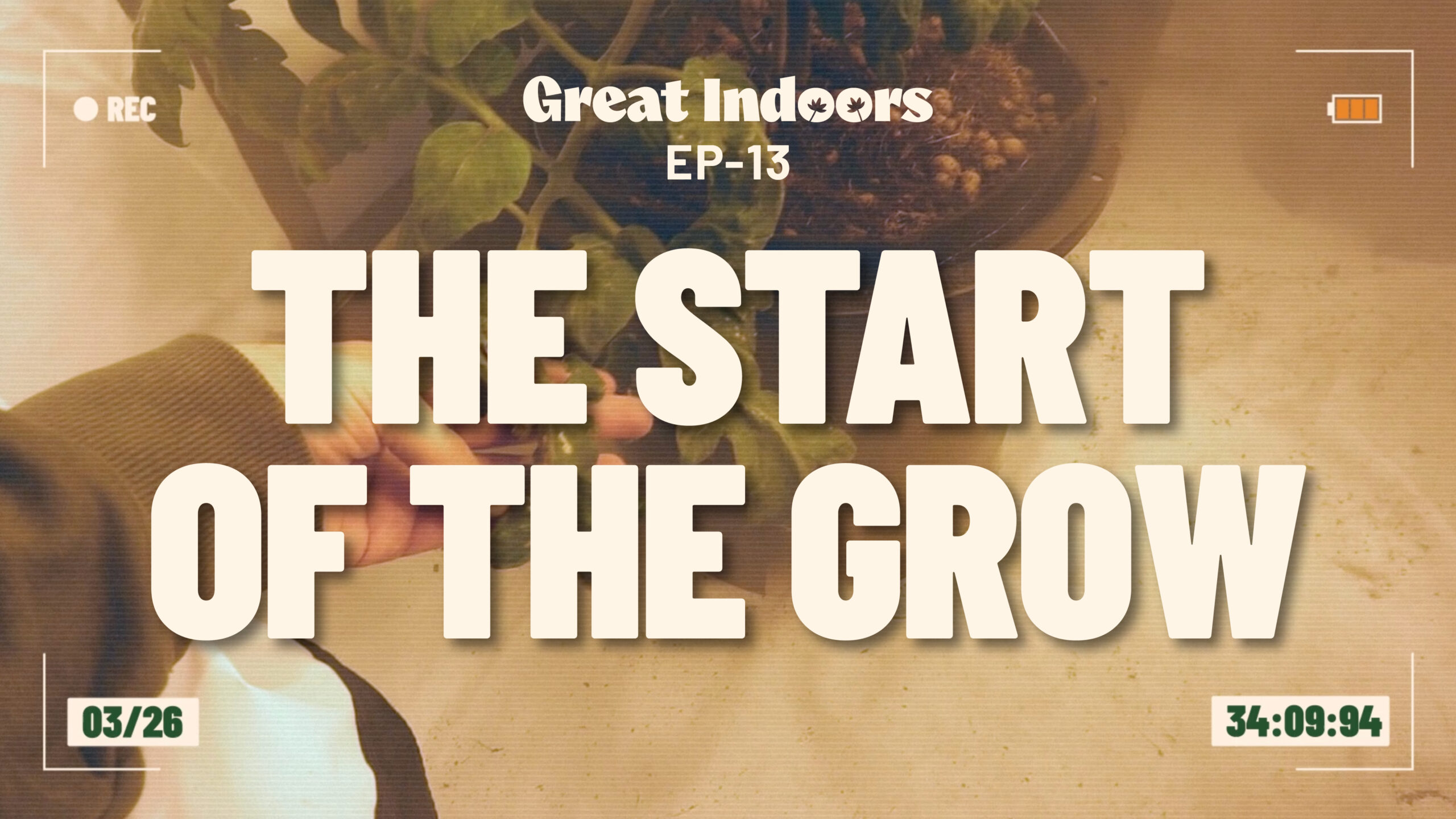 The Great Indoors: The Start of the Grow