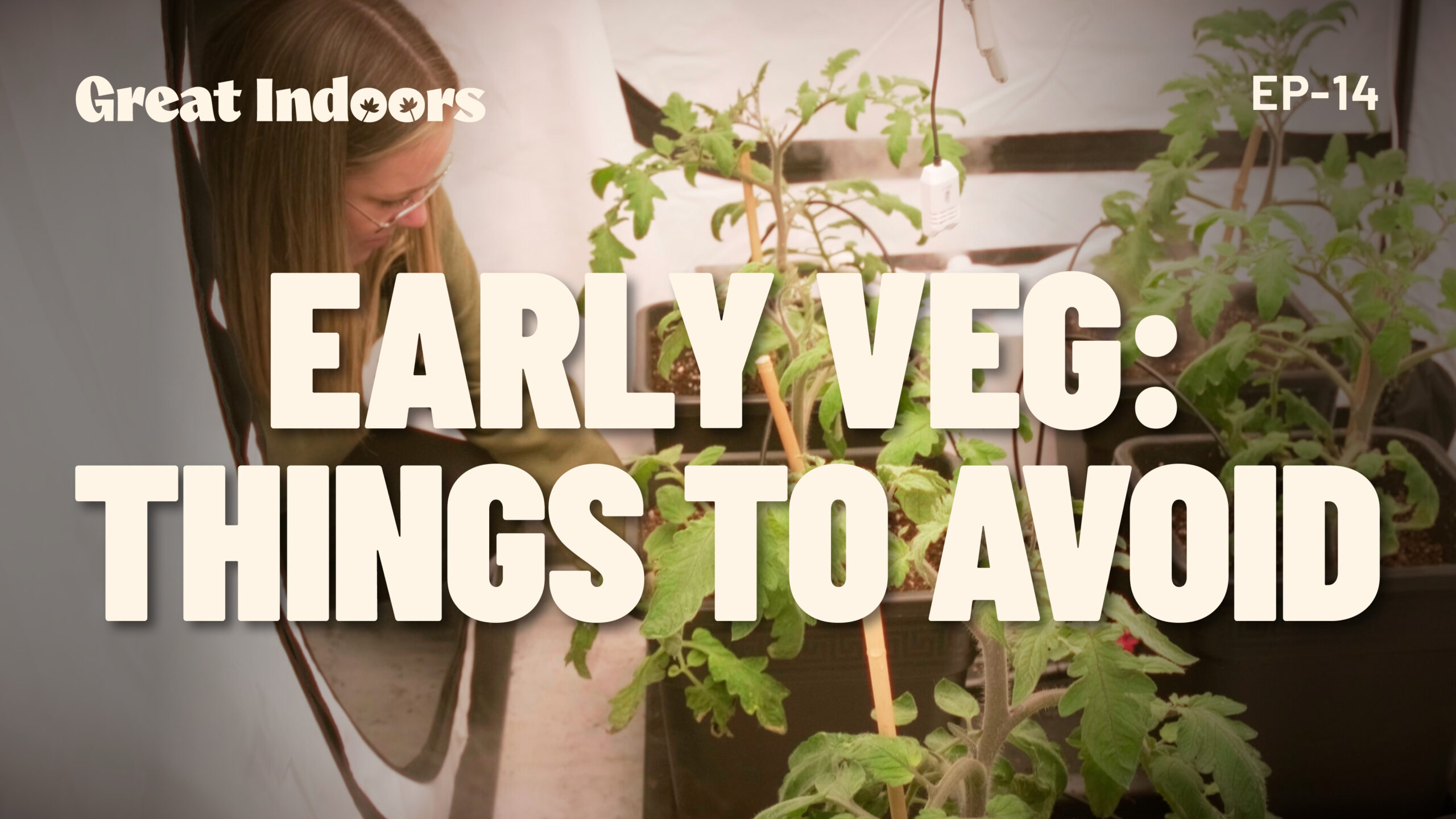 The Great Indoors: Early Veg - Things to Avoid