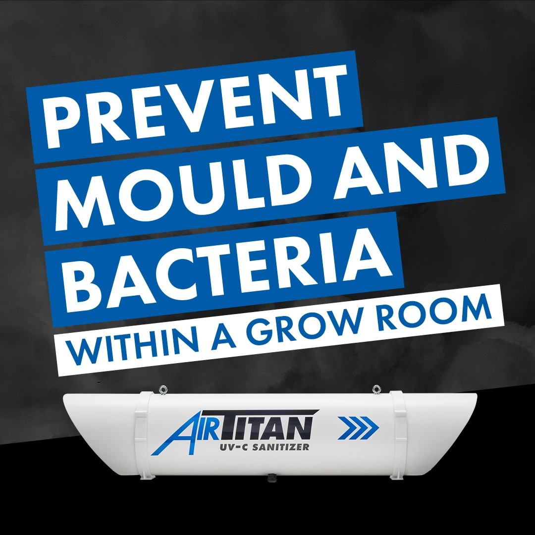 Prevent grow room mould