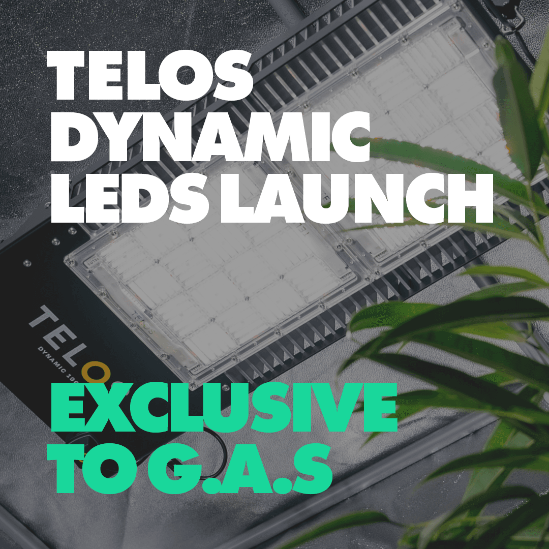 Telos Dynamic Lights Distributed Exclusively by G.A.S.