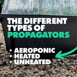 Different Types of Propagators