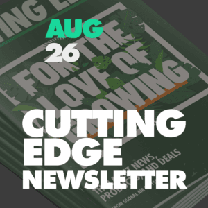 August Cutting Edge: The Great Indoors takes centre stage