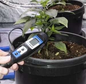 Why You Need to Know the EC & Ph of Soil