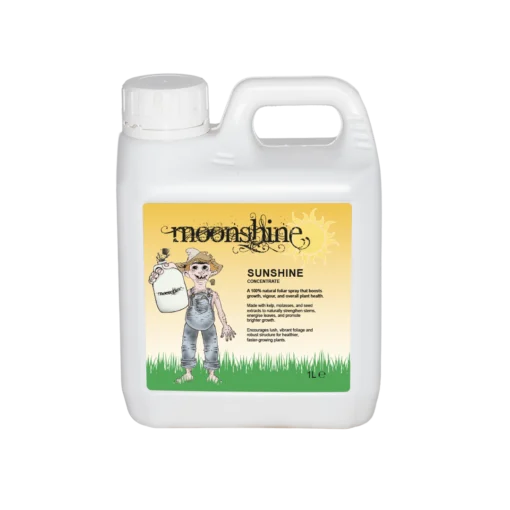 Moonshine - Sunshine - Concentrate