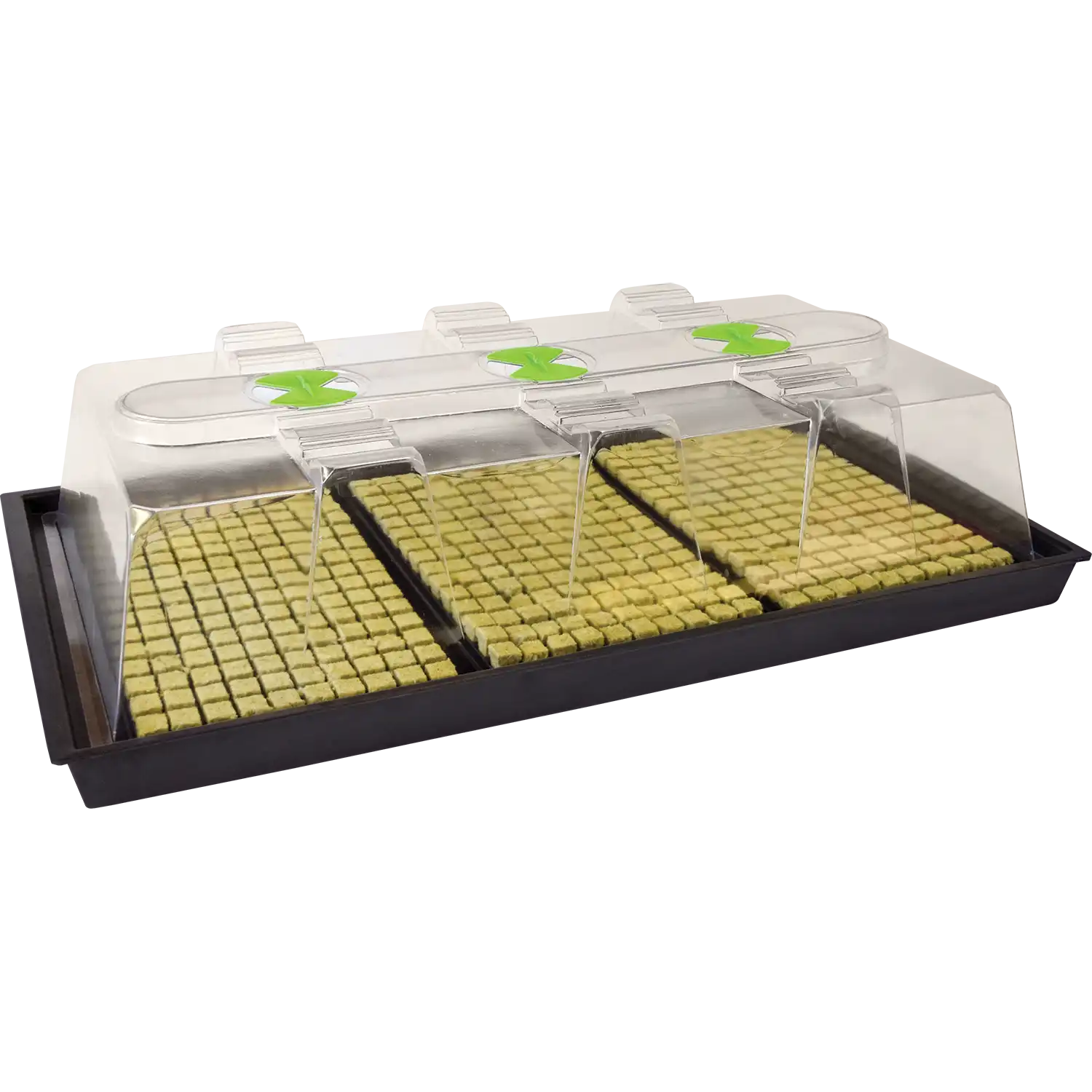 X-Stream Heat propagator Large