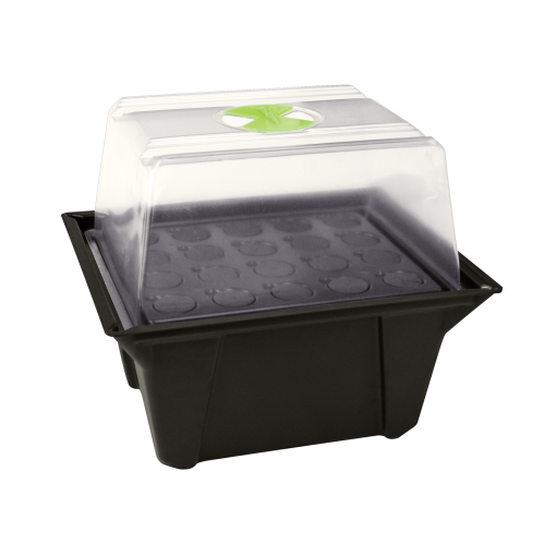 X-Stream-Propagator-20