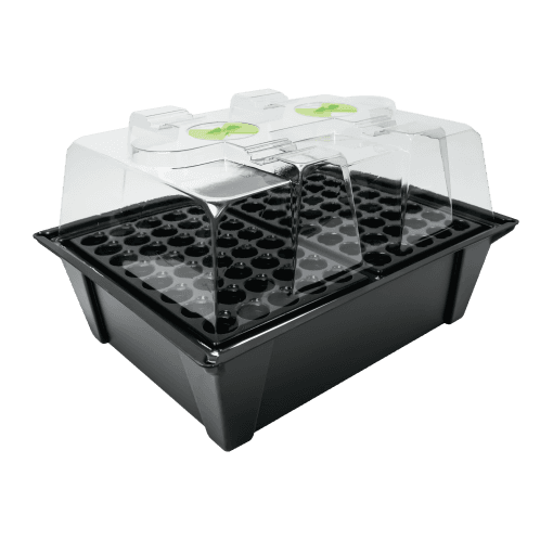 X-Stream-Propagator-80 X-Stream-Propagator-80