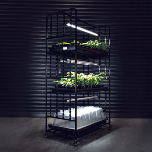 X-Stream Shelves-112